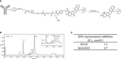 Preclinical profiles of SKB264, a novel anti-TROP2 antibody conjugated to topoisomerase inhibitor, demonstrated promising antitumor efficacy compared to IMMU-132